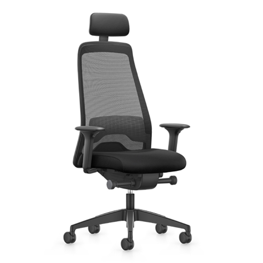 product image - Крісло офісне Interstuhl EV258 ER01 Black Mesh