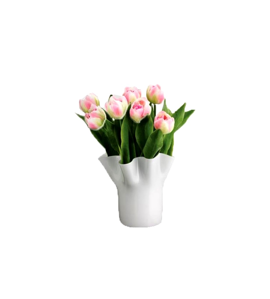 product image - Ваза скляна настільна Aida TULIP VASE, висота 20 см, білий