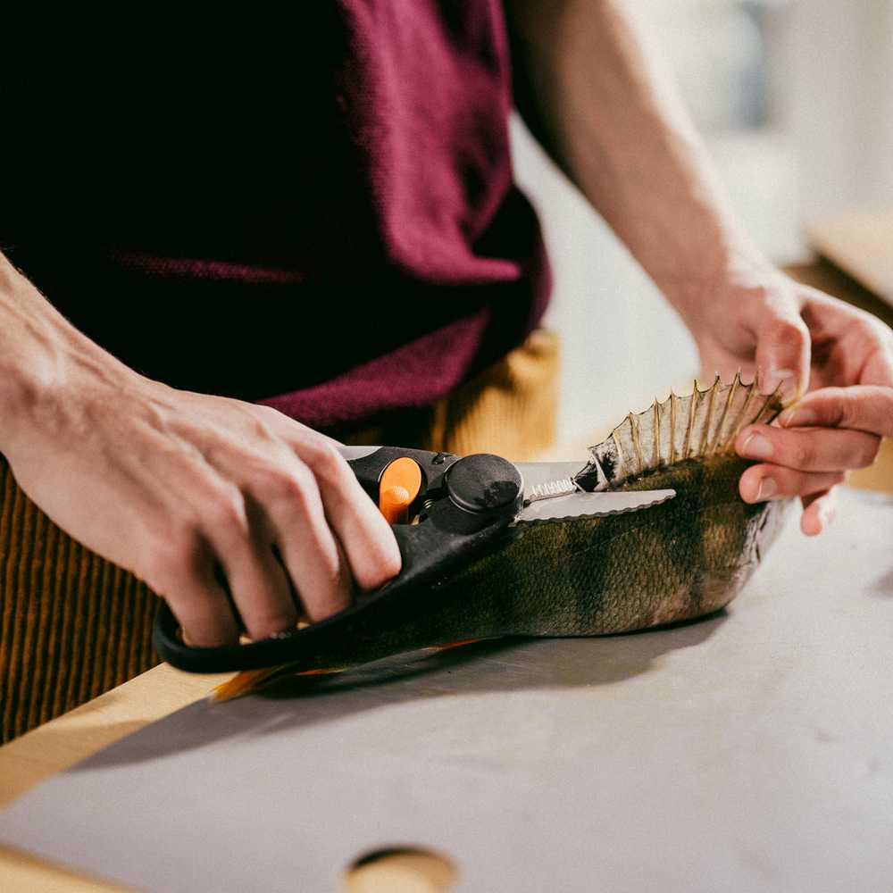 Ножиці для риби кухонні Fiskars Functional Form, довжина 22 см, чорний