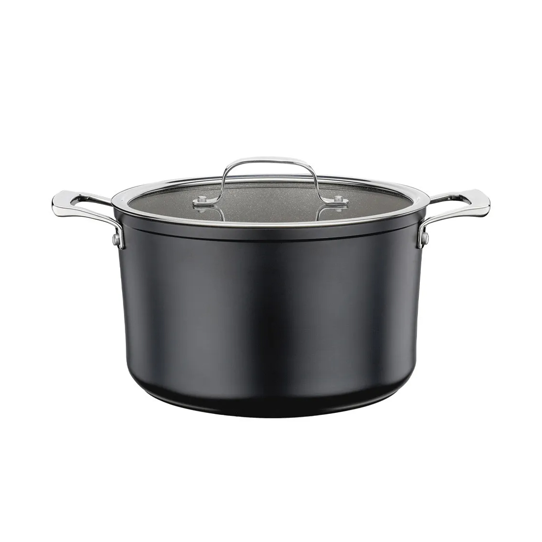 product image - Кастрюля с крышкой Spring MERIDIAN INTENSE PRO, объем 5,8 л, диаметр 24 см, черный