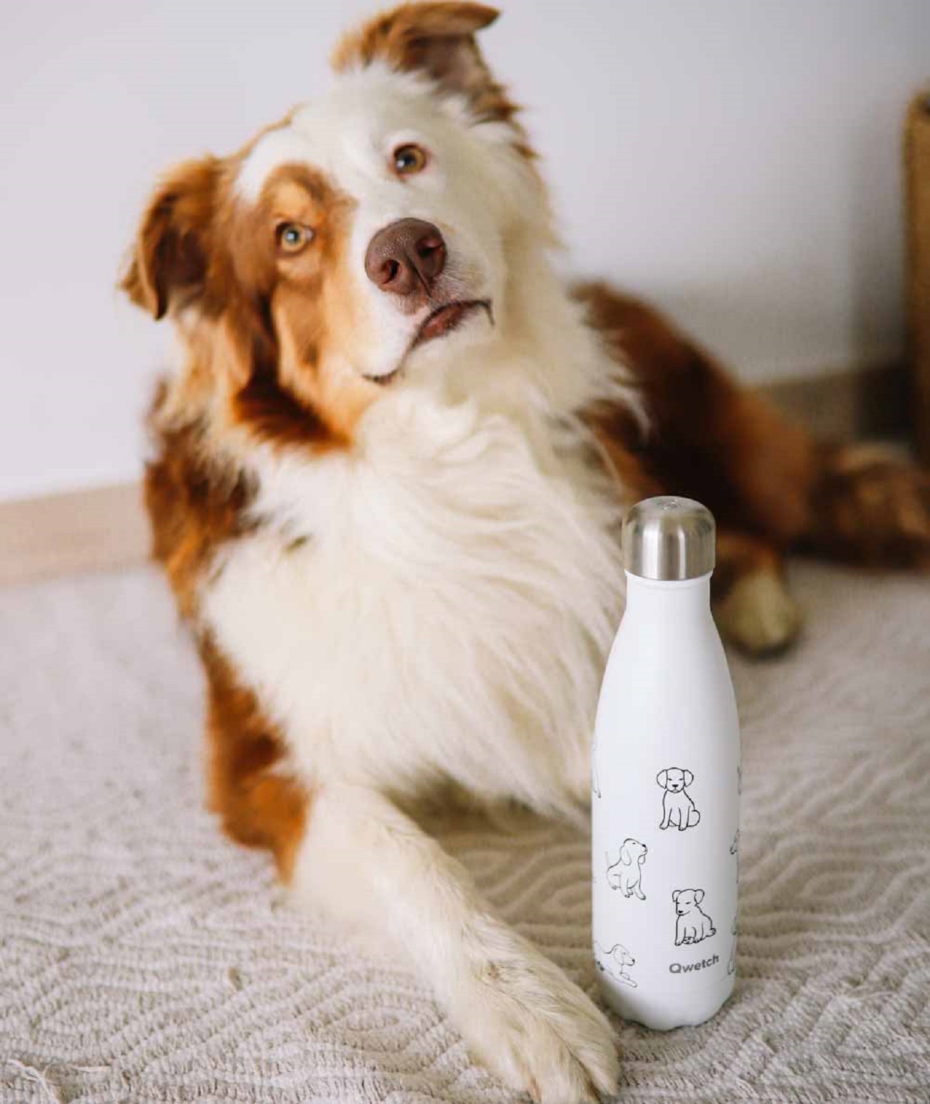 product image - 2 - nav