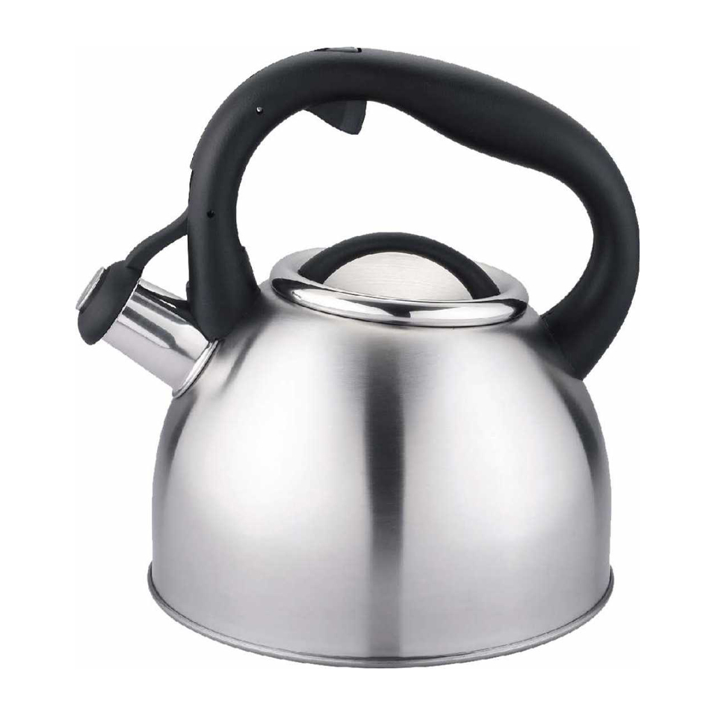 product image - Чайник Carl Schmidt Sohn BONN, объем 2,5 л, серебристый