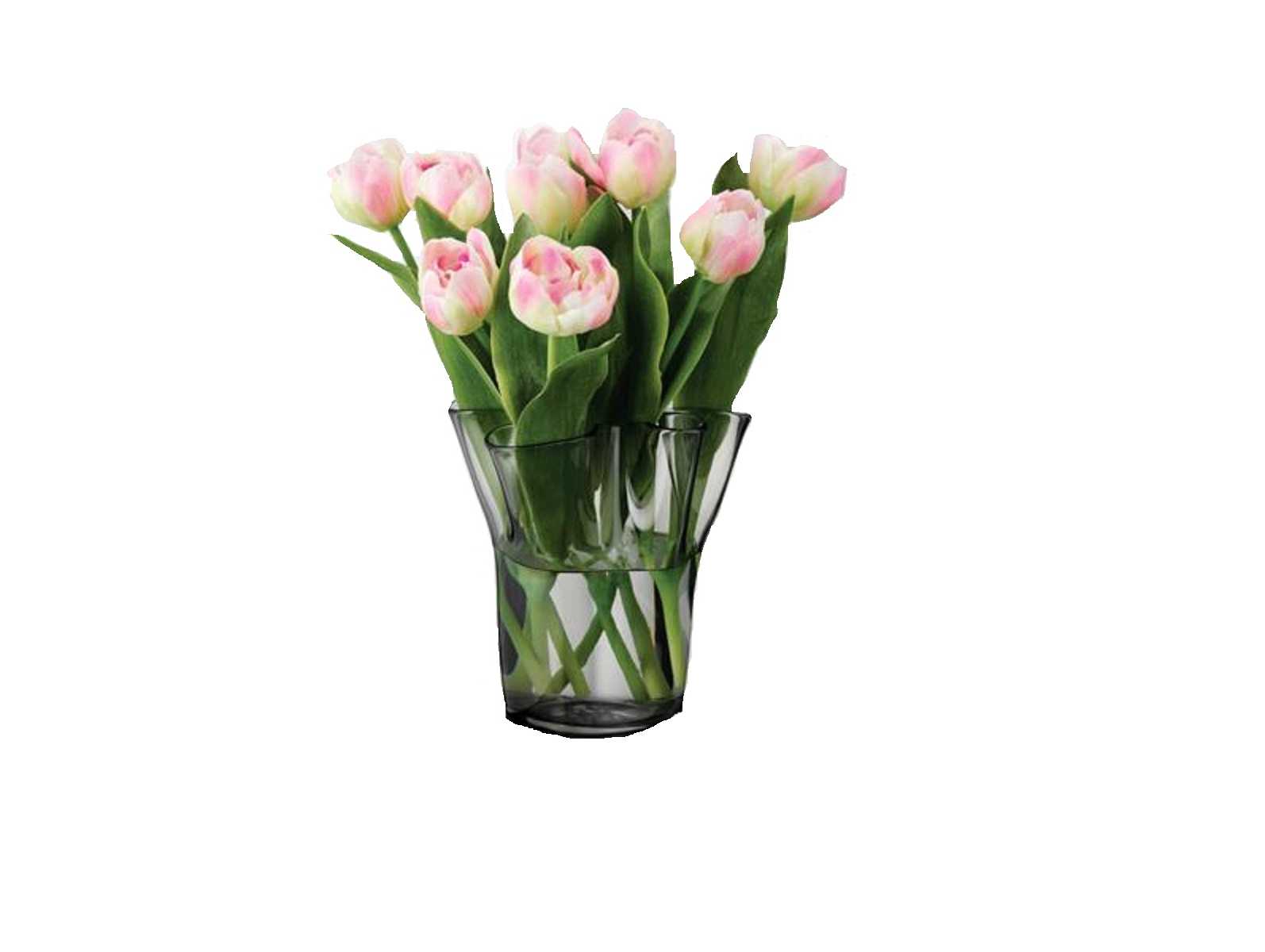 product image - Ваза Aida TULIP VASE, висота 20 см, прозоро-сірий